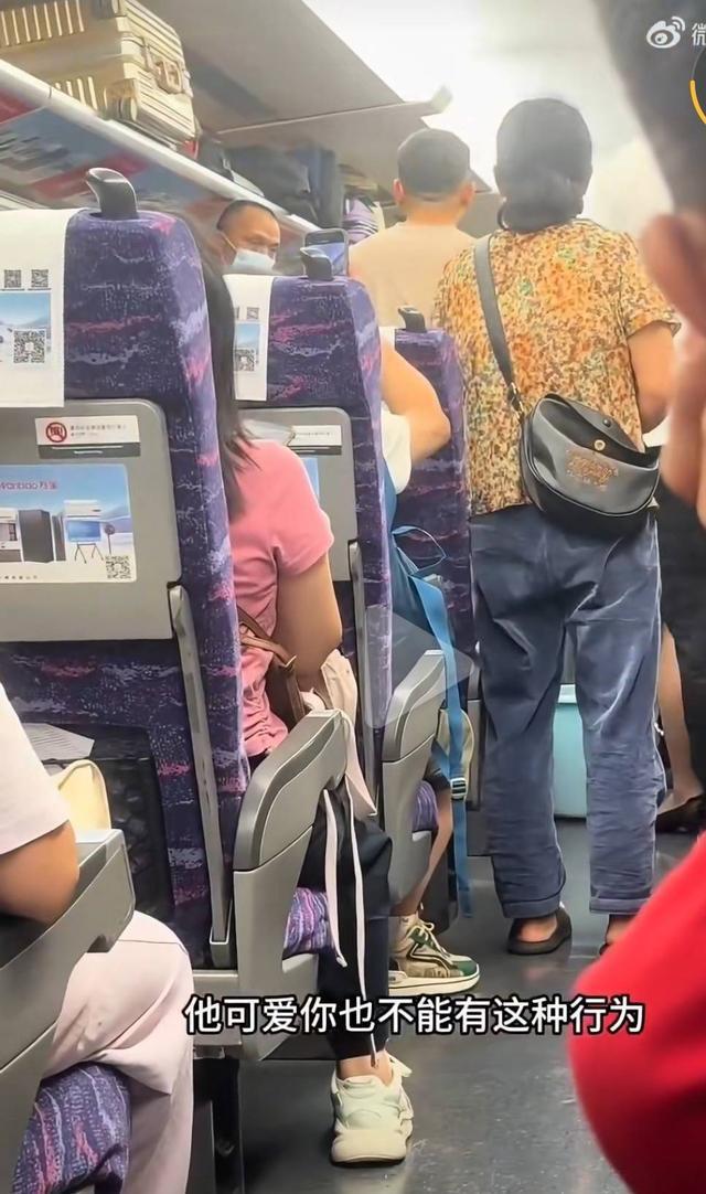 警方通报动车猥亵7岁女童案 涉事男子或面临重罚