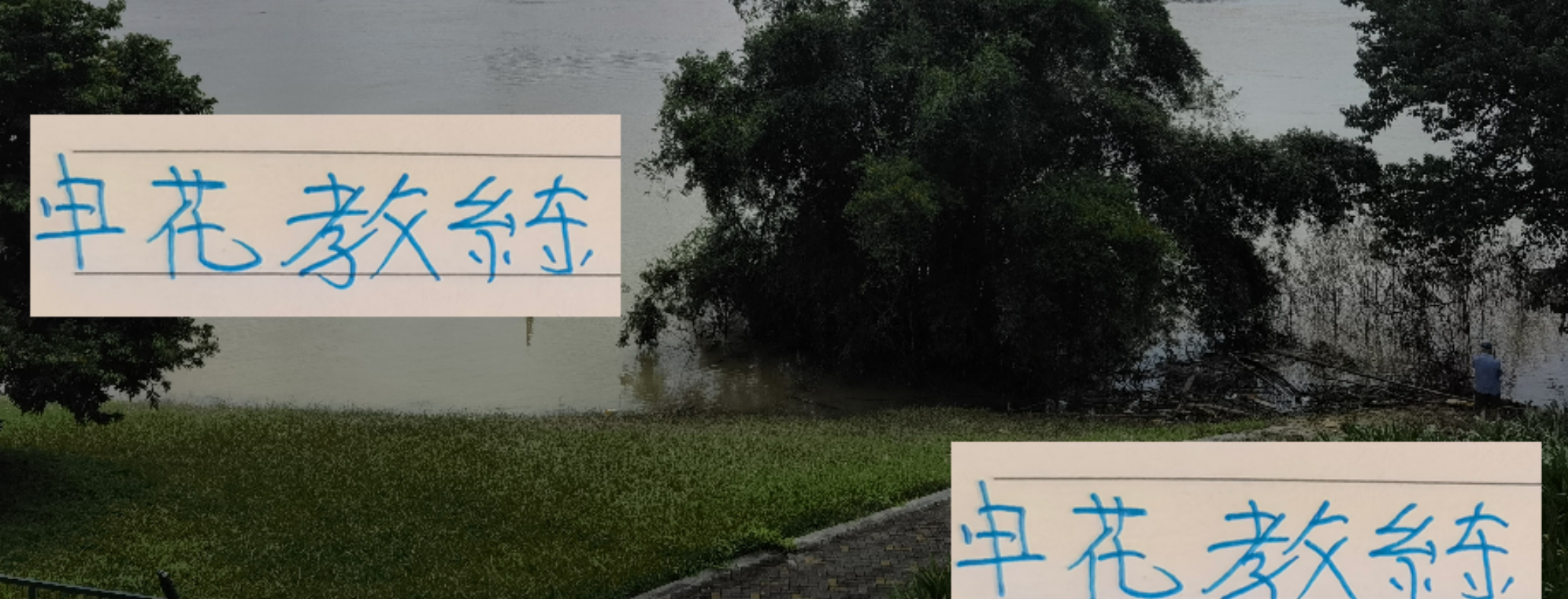 同日开训！申花教练留守，国安临时换帅引关注