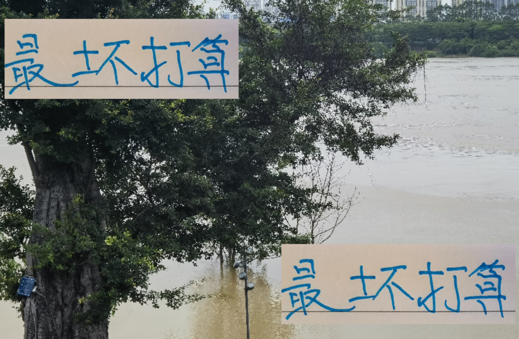 申花客战青岛西海岸：伤病潮下阿马杜或成关键救星