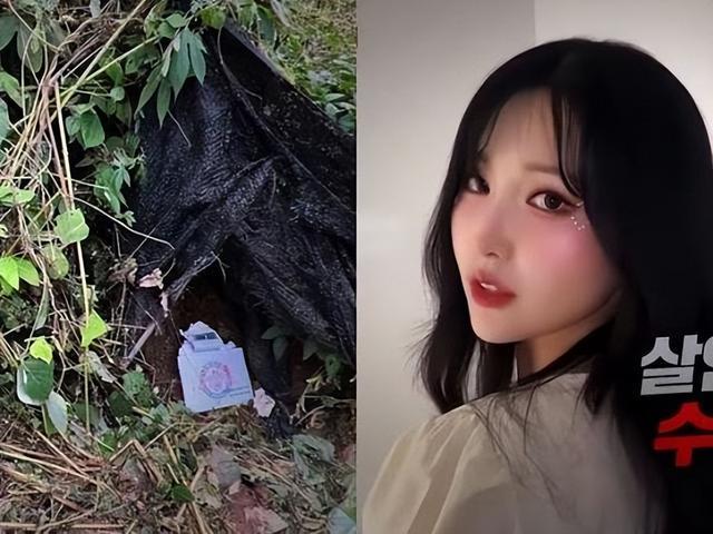 25岁韩国女主播遭榜一大哥杀害，50岁男子伪装CEO行凶