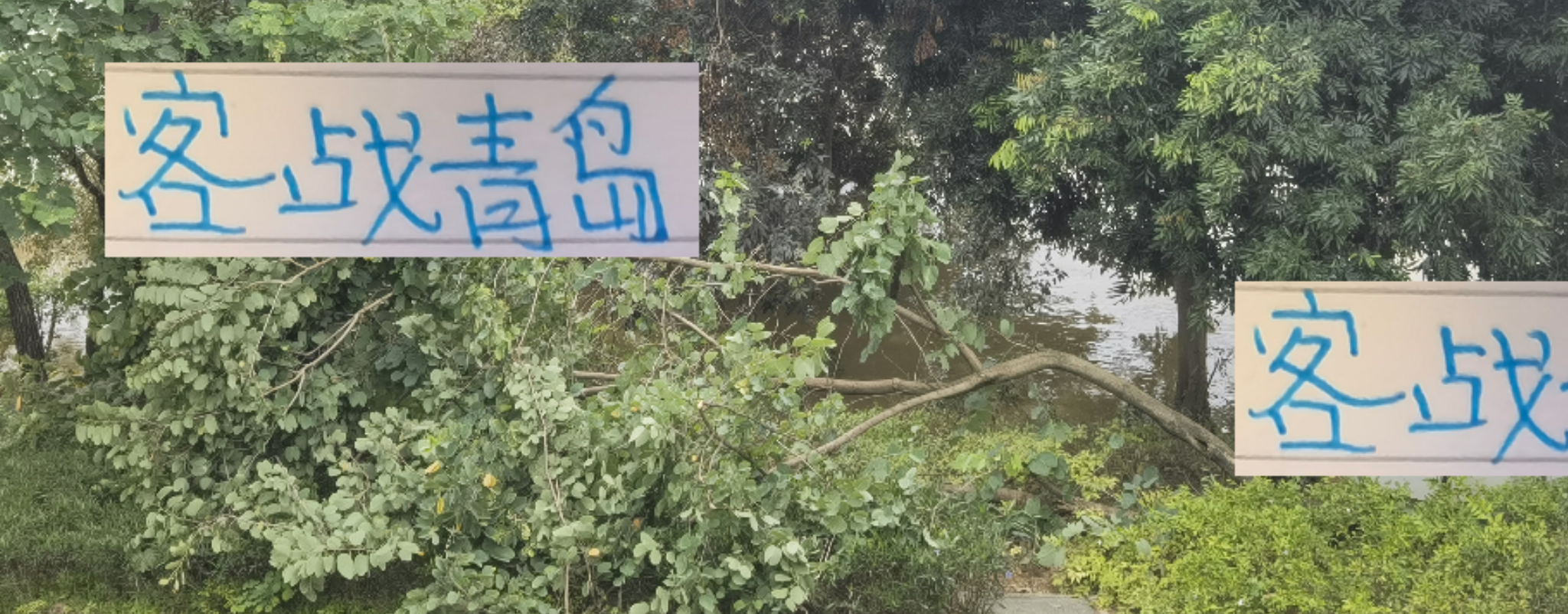 17日客战青岛西海岸，申花锋线告急，38岁于汉超或成关键先生