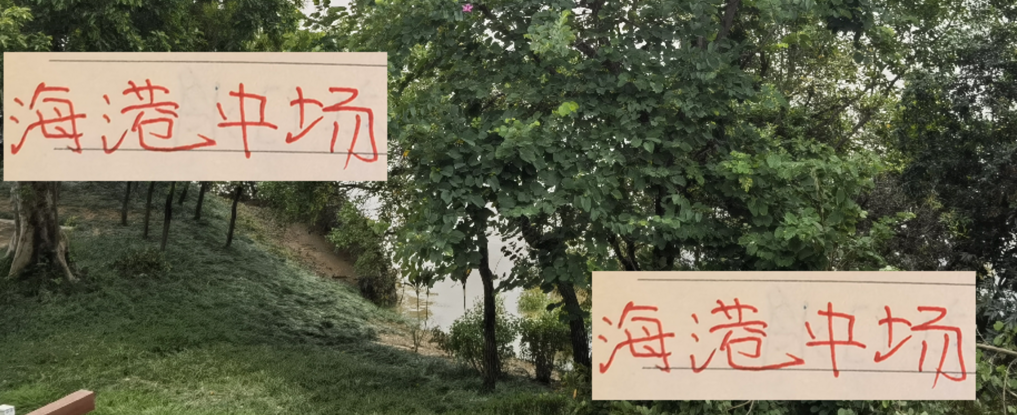 海港中场强势领跑中超 奥斯卡效应持续发酵