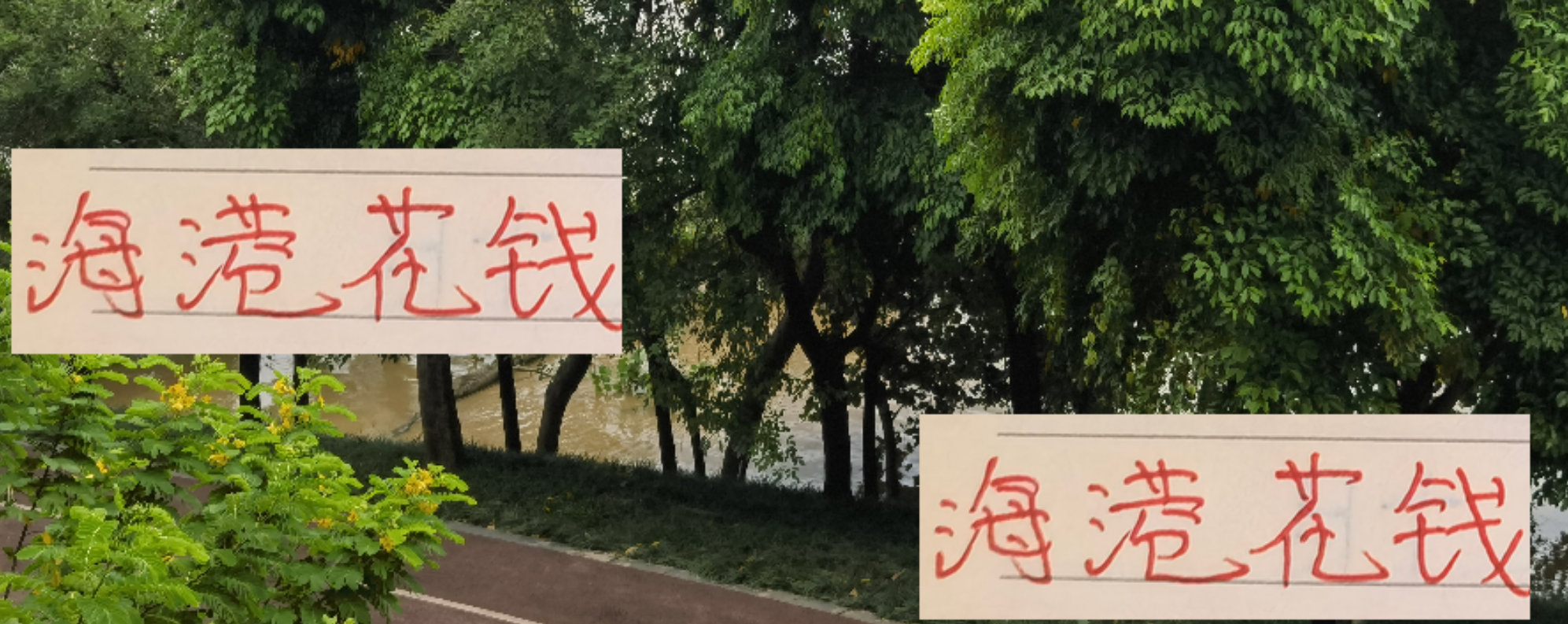 海港、申花投入显成效，北京国安何时听见钱响？