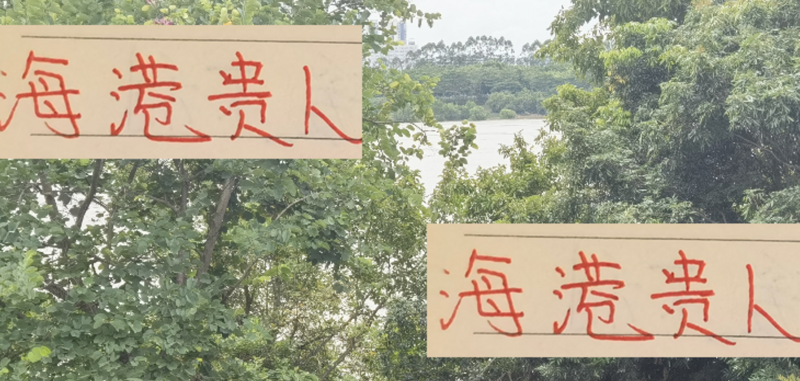 深圳队能否助海港一臂之力？第29轮战申花30轮迎成都