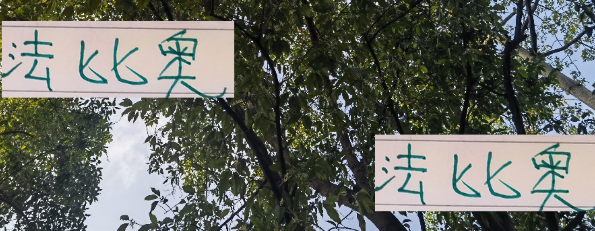 西班牙教头离任后，北京国安法比奥能否逆袭争最佳射手？