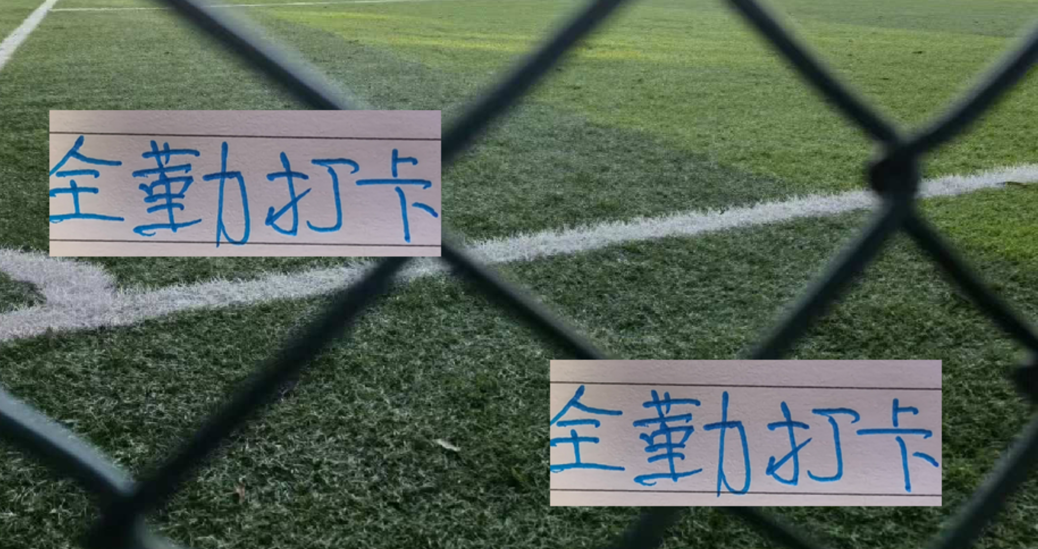 中超前5强主力前锋全勤表现：莱昂纳多领衔，法比奥追榜首