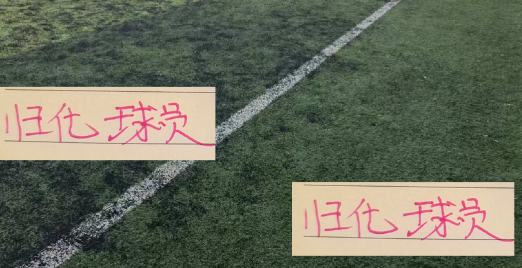 中超归化球员表现：蒋光太持续强势，侯永永成中下游惊喜