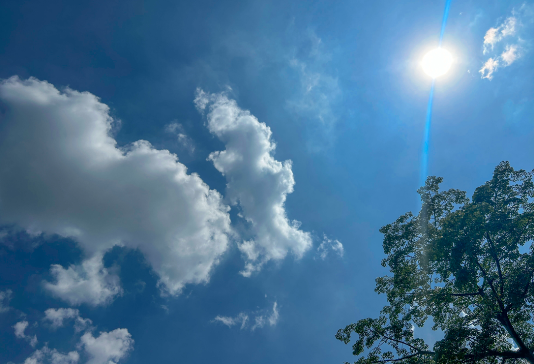 广州气温直逼36℃！新台风生成，降温何时到来？