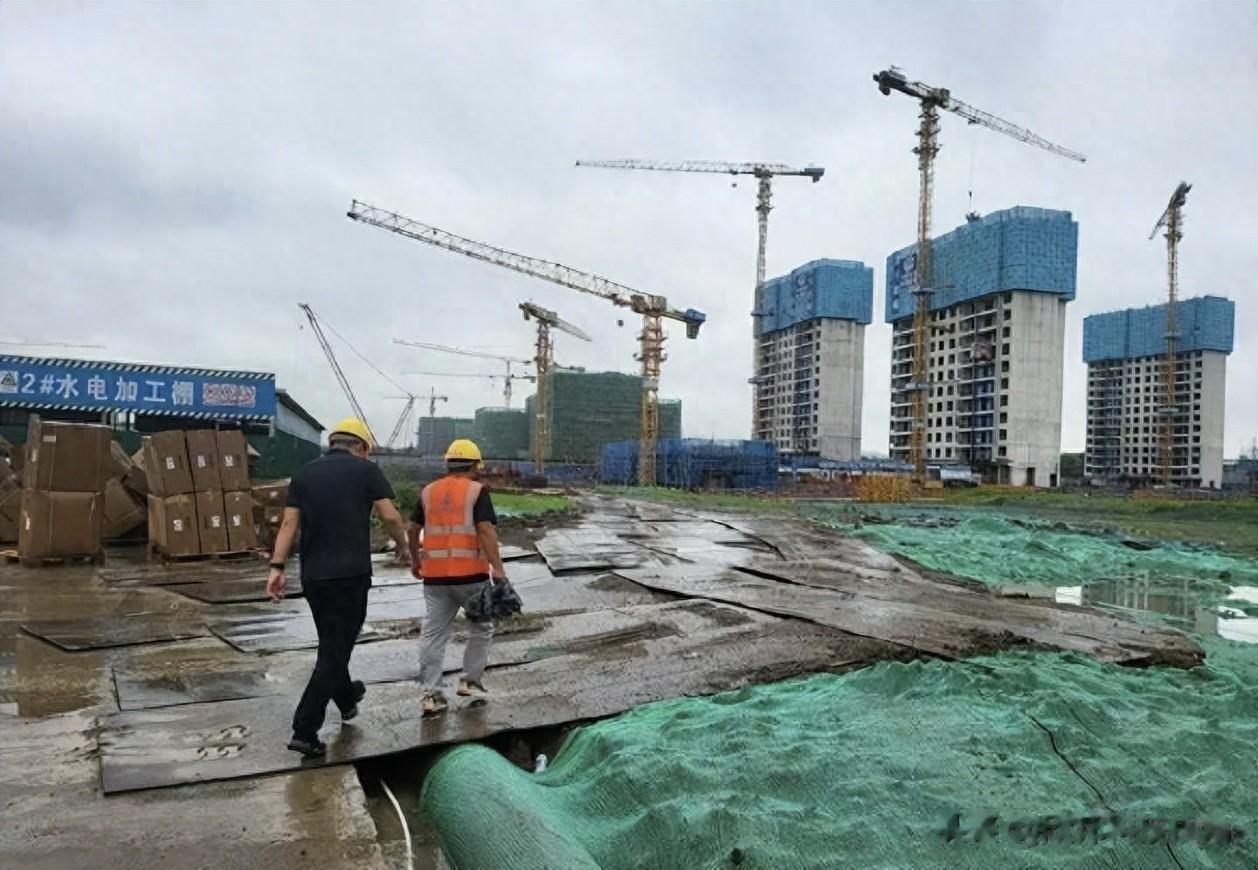 2025年怪象：国企央企工程为何遭冷遇无人接标？