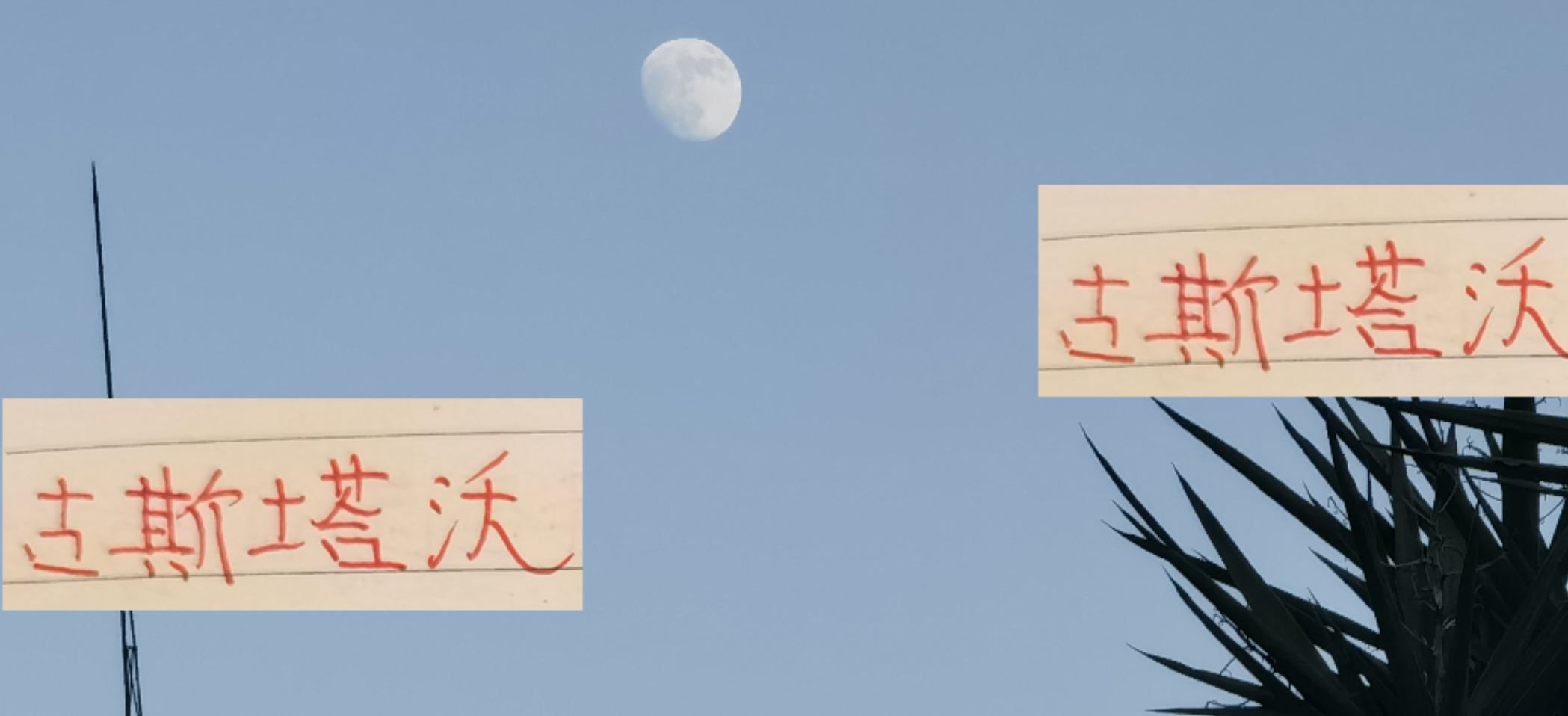 古斯塔沃2025赛季流年不利：海港除名+亚冠追加停赛