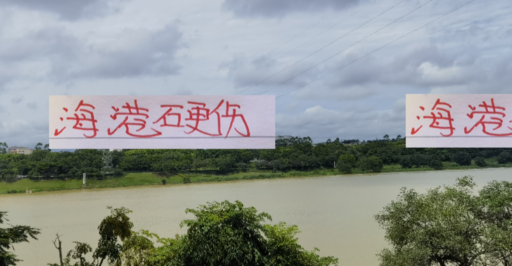 中超主场观赛人数对比：海港球迷数量为何难破4万大关？