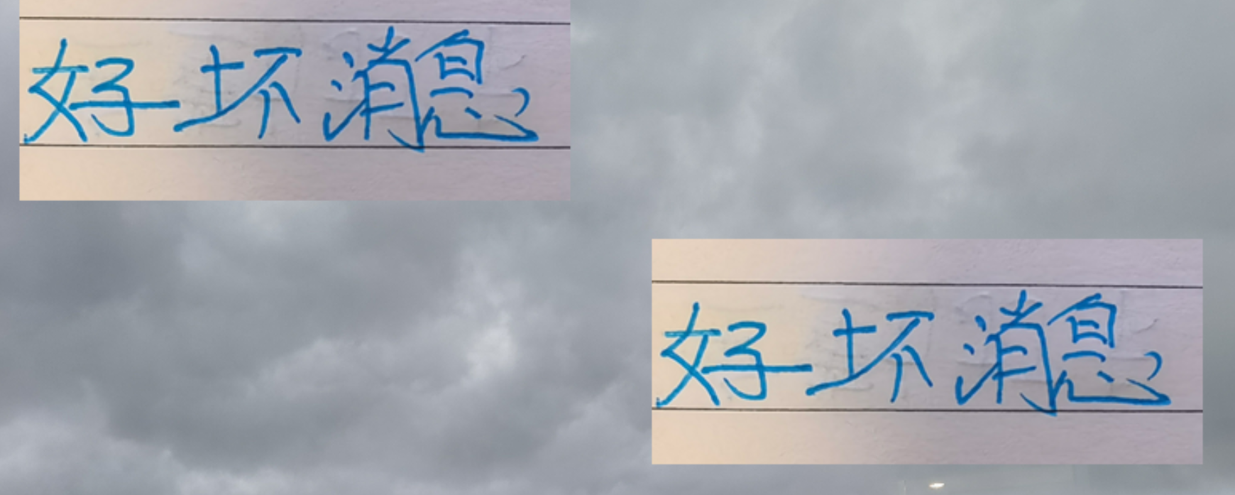 申花双讯：阿苏埃世预赛取消或成利好，陈晋一疲劳作战存隐忧