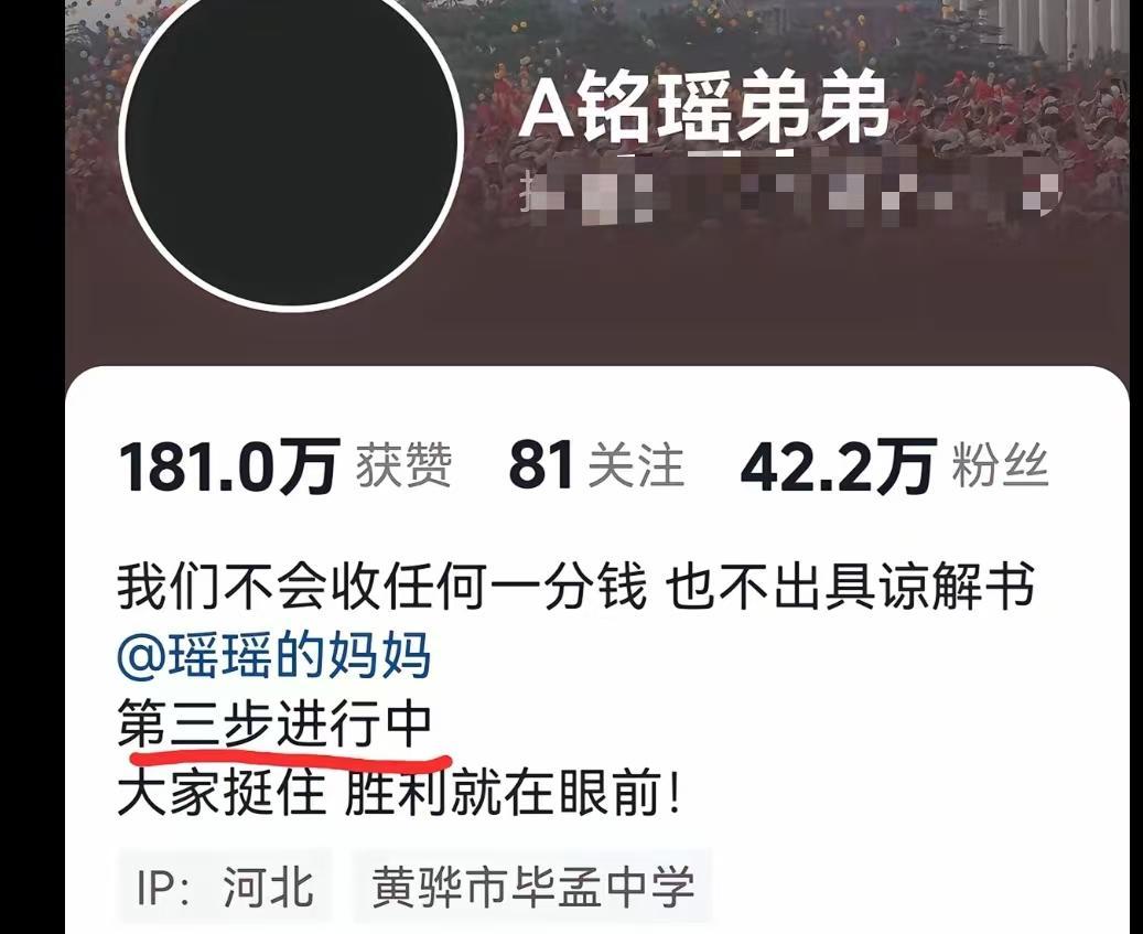 瑶瑶弟弟披露案件新进展：第三步已启动，正义即将到来