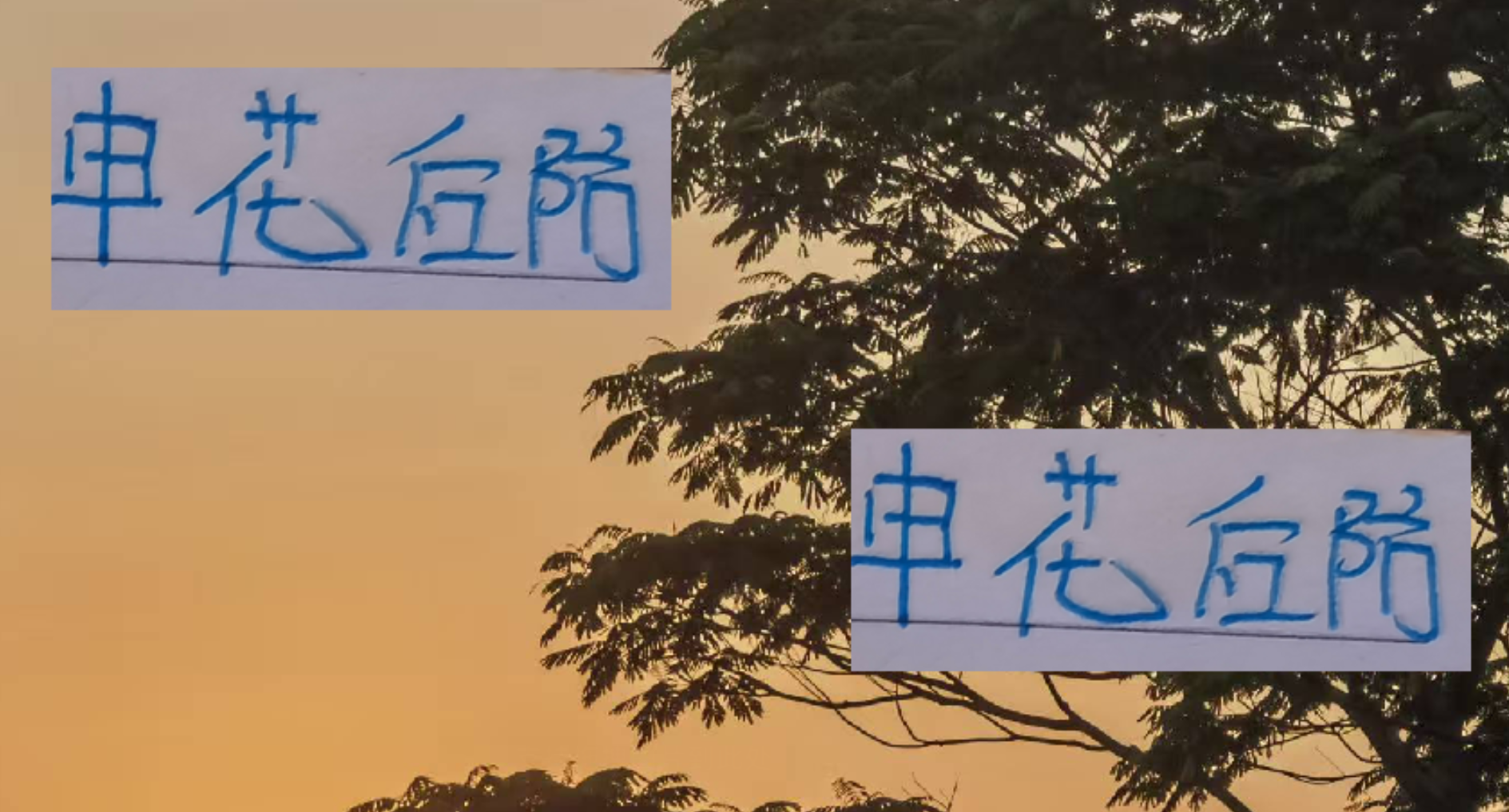 申花后防能否顶住西海岸外援三巨头冲击？