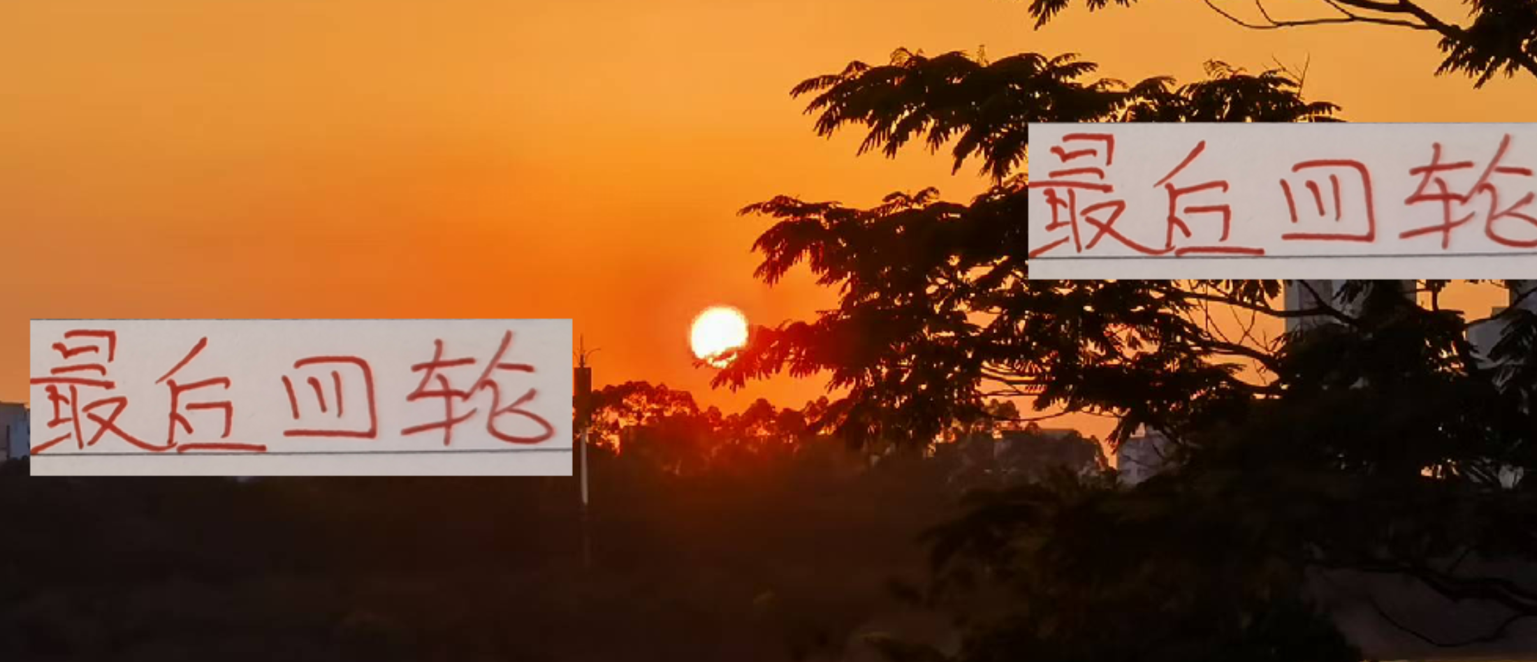 最后四轮！上海双雄伤员复出动态：申花路易斯有望回归，海港武磊难上场