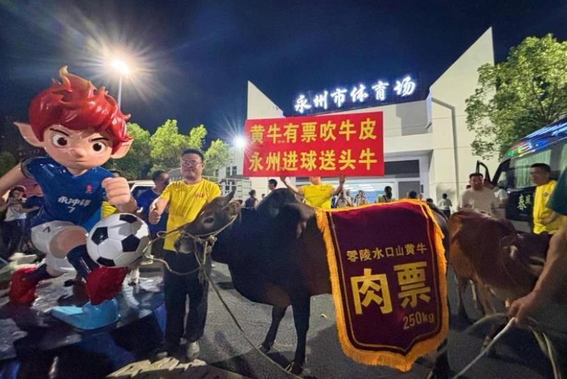 湘超永州队4:1胜邵阳队 网红“牛扣哥”兑现6头牛承诺进行时