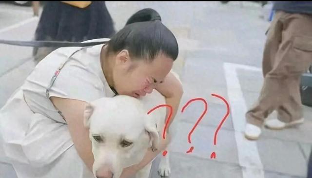 导盲犬芬迪后续：接回基地后健康告急，康复之路引发关注