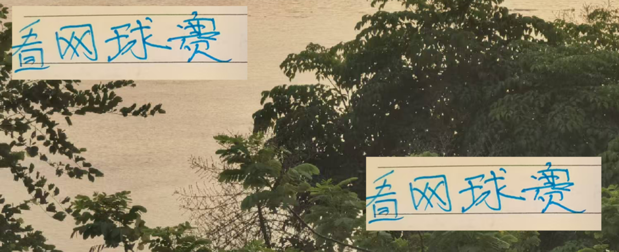 斯卢茨基从容应对锋线人荒！申花球迷无需恐慌