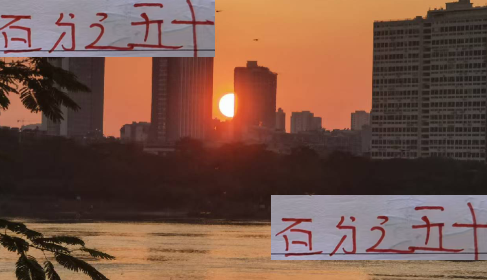 本赛季中超胜率超五成：海港、成都、申花及塞蒂恩表现解析