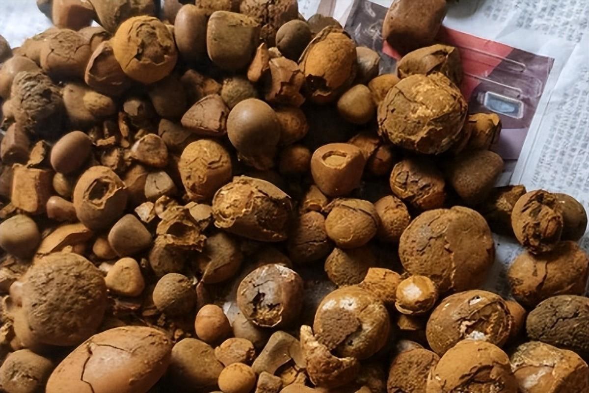 1公斤165万元，比黄金还贵！以前在农村当垃圾，为何会暴涨？