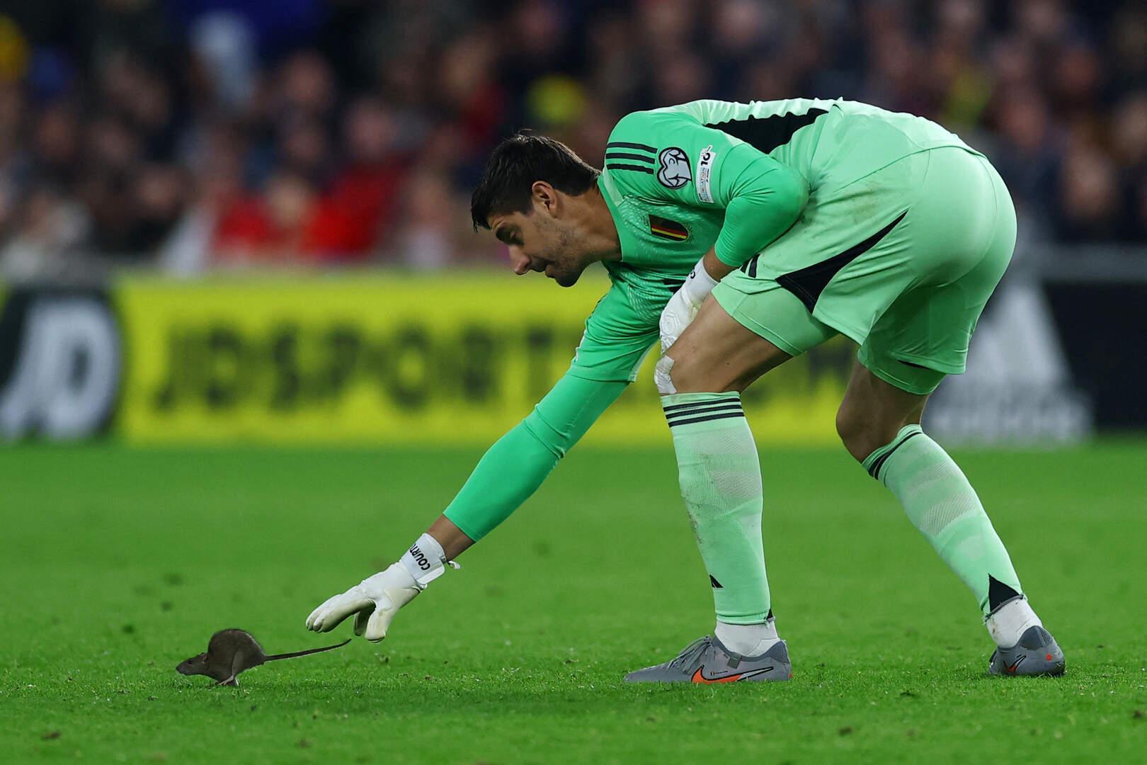 库尔图瓦赛场捕鼠引热议：若抓住绝不伤害小生命