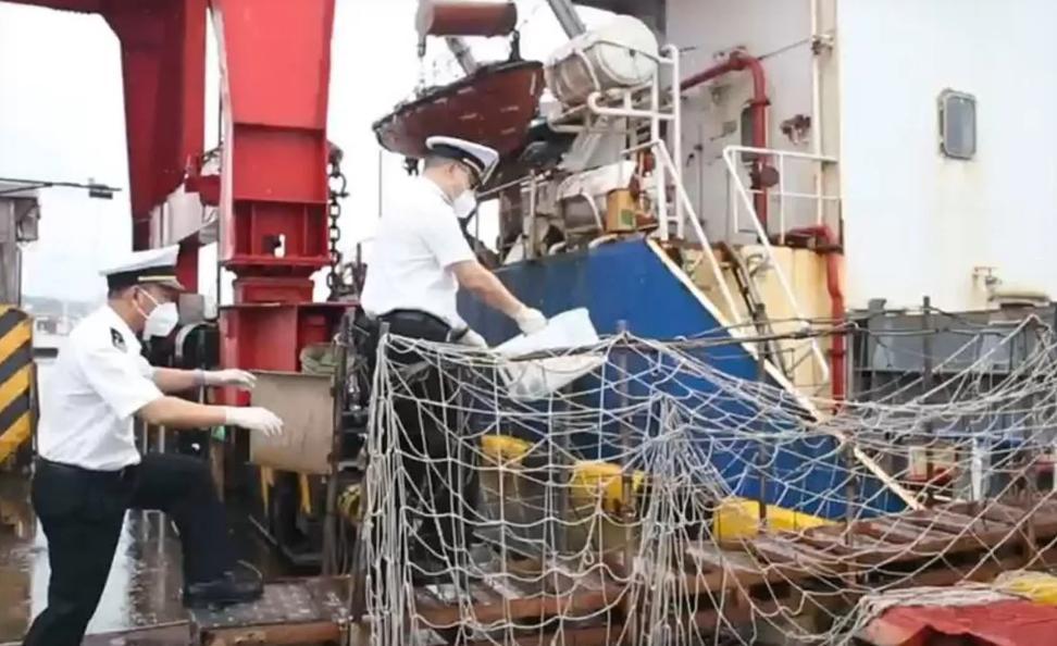 深圳海关截获2万只德国小蠊：入侵害虫的危害与防治
