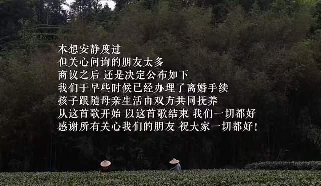 李亚鹏海哈金喜离婚引热议，女方痛哭照背后隐藏什么？