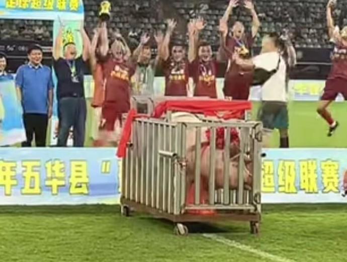 梅州五华‘县超’冠军获肥猪奖品，文体局揭秘背后寓意