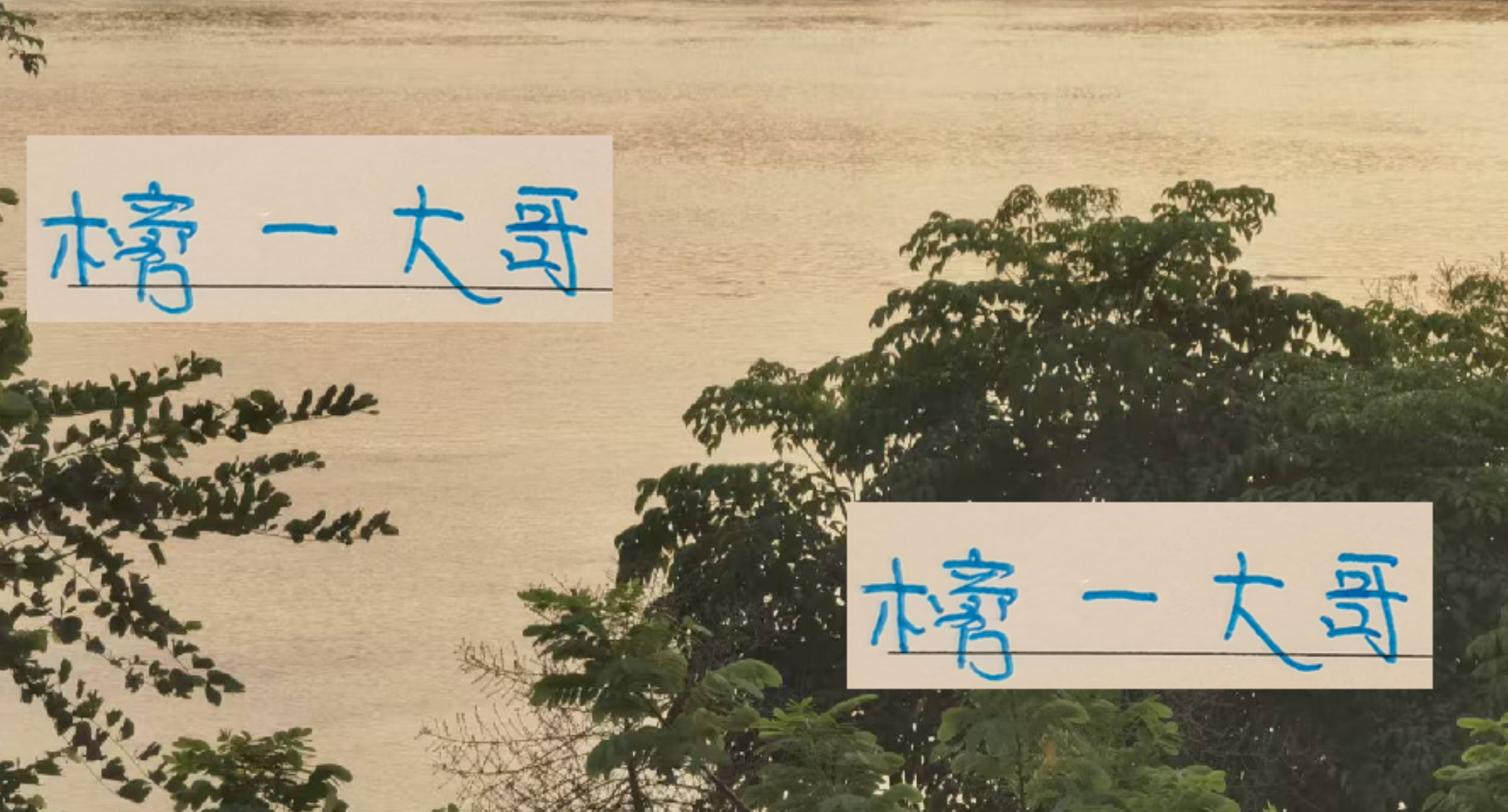 申花提前4轮锁定榜首次数冠军，中超格局生变