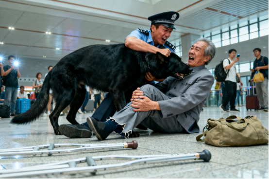 安检现场警犬突袭八旬老人，真相揭晓后获众人称赞