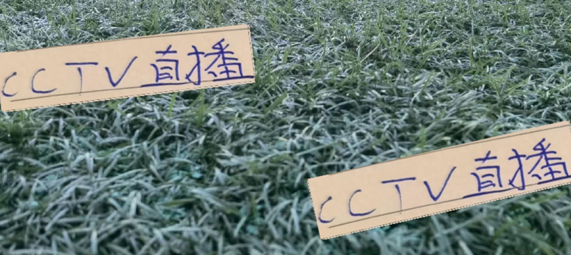 中超第27轮赛程揭晓：海港无缘CCTV直播，申花比赛获关注