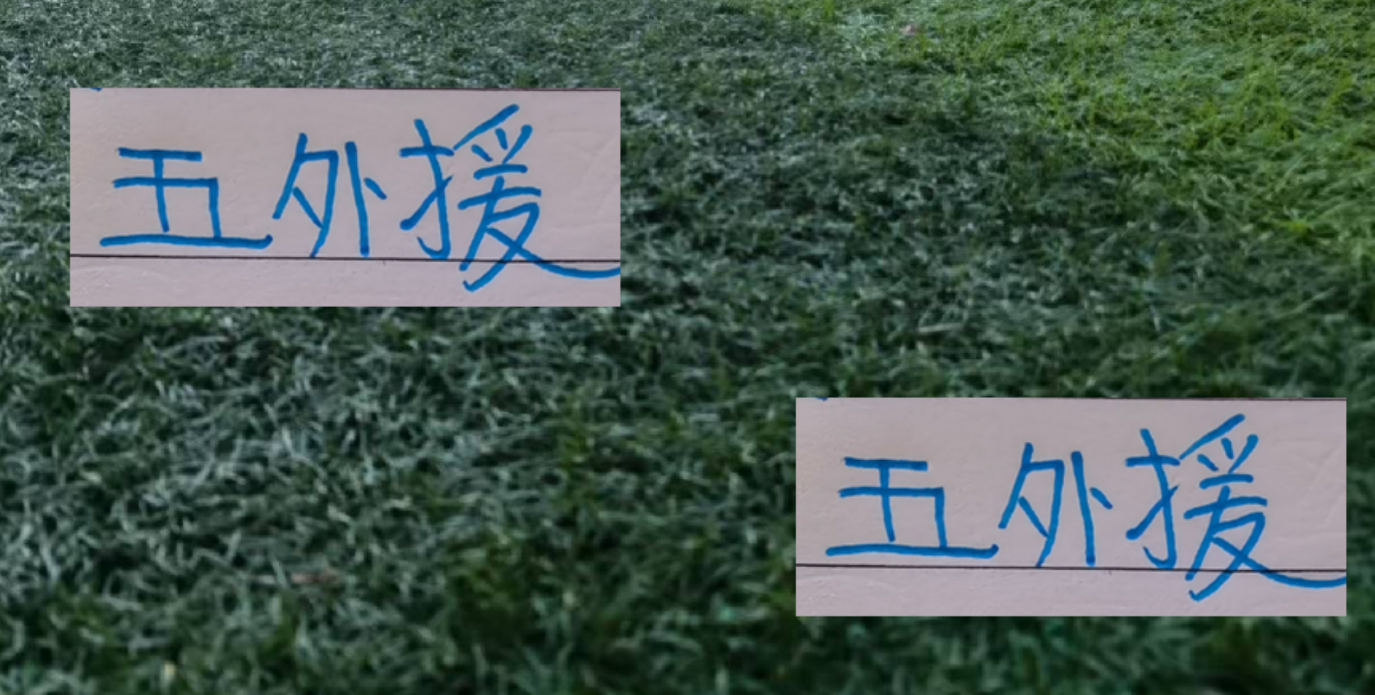 申花客战青岛西海岸：5外援能否齐聚，特谢拉成焦点