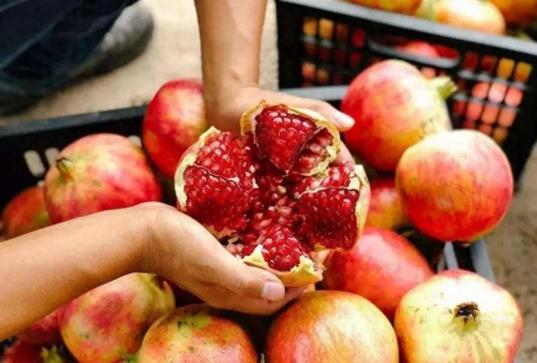 医生推荐！常吃石榴的4大健康益处与科学依据