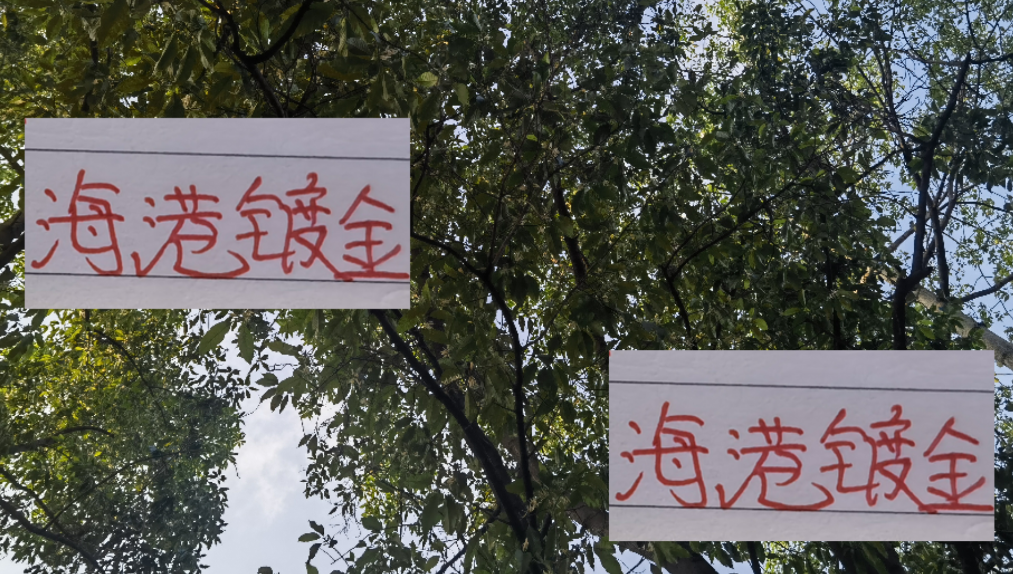 中超四强谁主沉浮？成都蓉城徐正源力压海港穆斯卡特