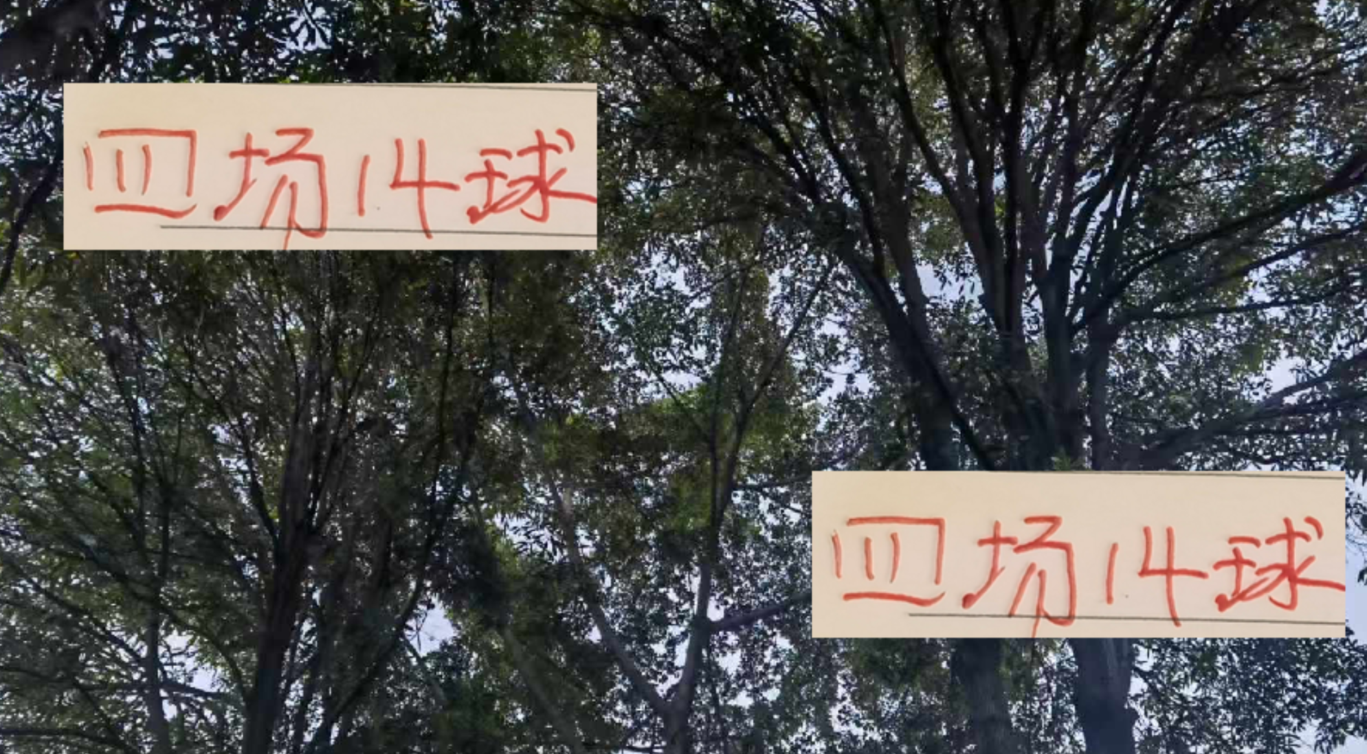 火力全开！莱昂纳多4场狂轰8球 武磊接班人实至名归