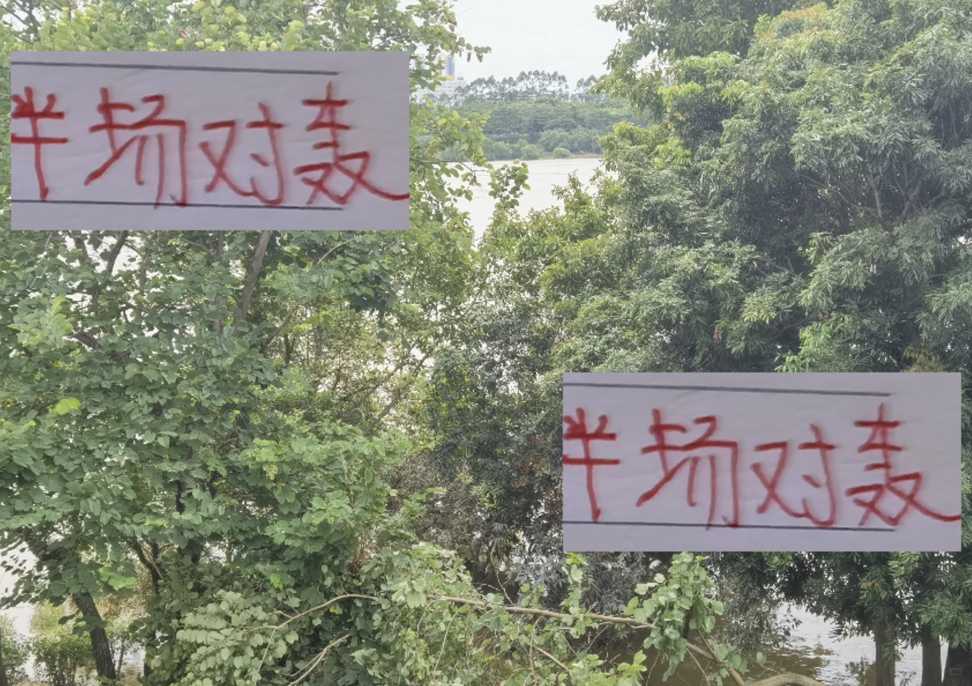 海牛主场激战海港：半场5球对轰，莱昂纳多梅开二度！