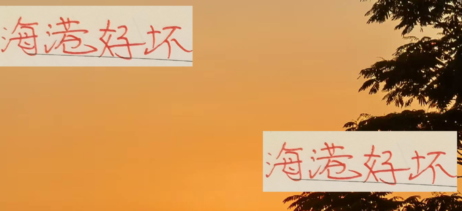 穆斯卡特表态争冠，海港新帅悬念待解