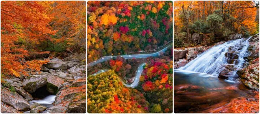 中国红叶第一山光雾山：高铁直达，十月红叶盛宴等你来赏