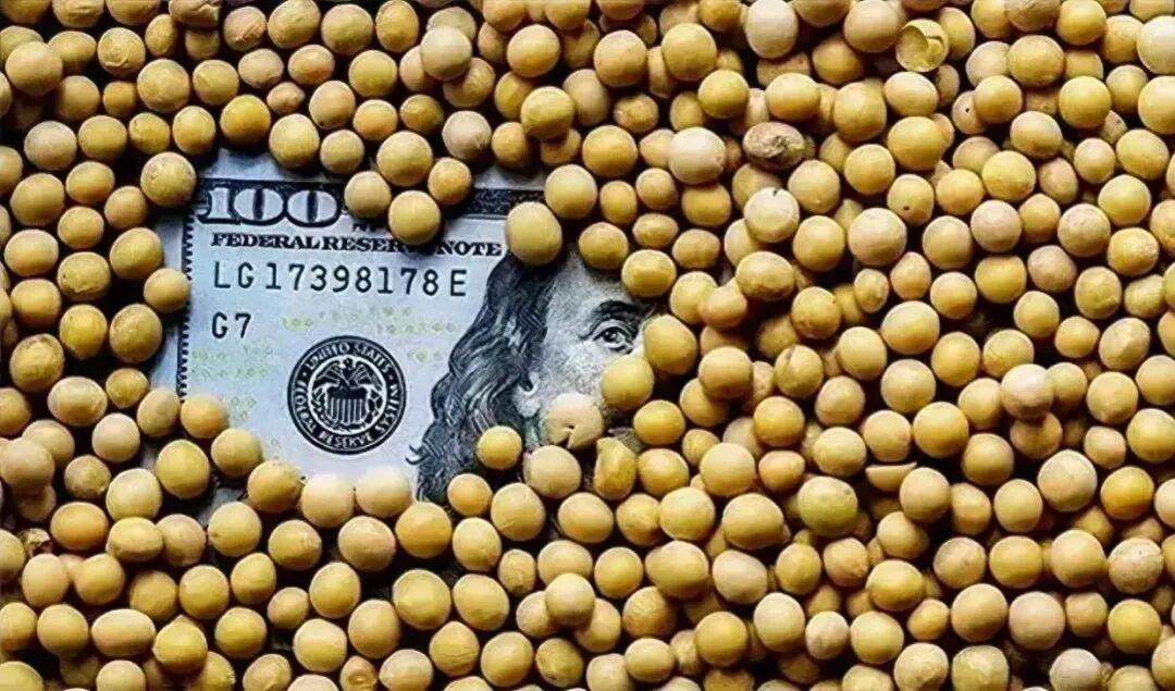美国大豆或启用人民币结算？美元地位受冲击，中国战略显成效