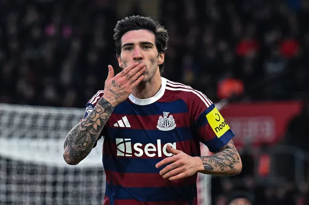 托纳利因病缺席训练，出战本菲卡概率高引关注