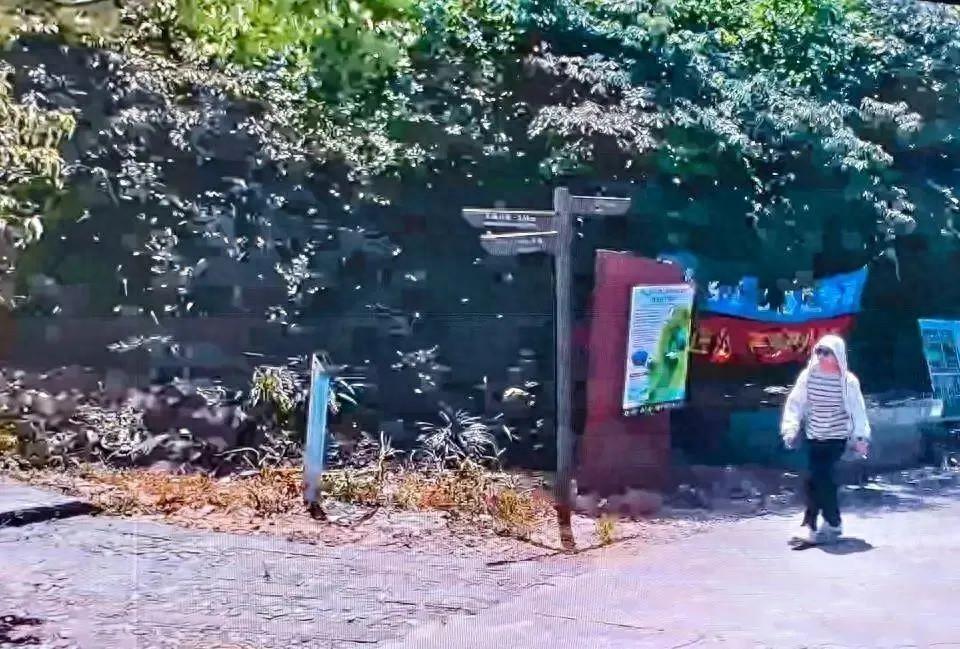 深圳27岁男子蔡磊遇难：望郎归登山失联70天后遗骸被找到