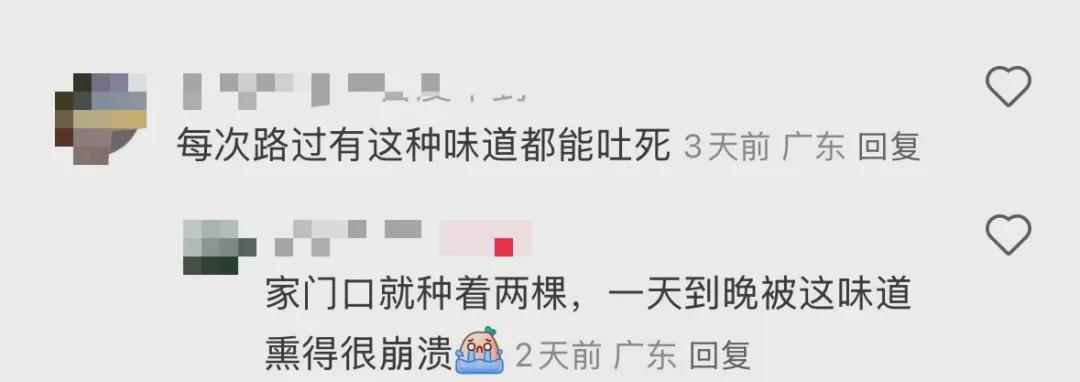 “熏到崩溃”！近期，深圳街头“臭”味弥漫！网友：没人管管吗？城管回应