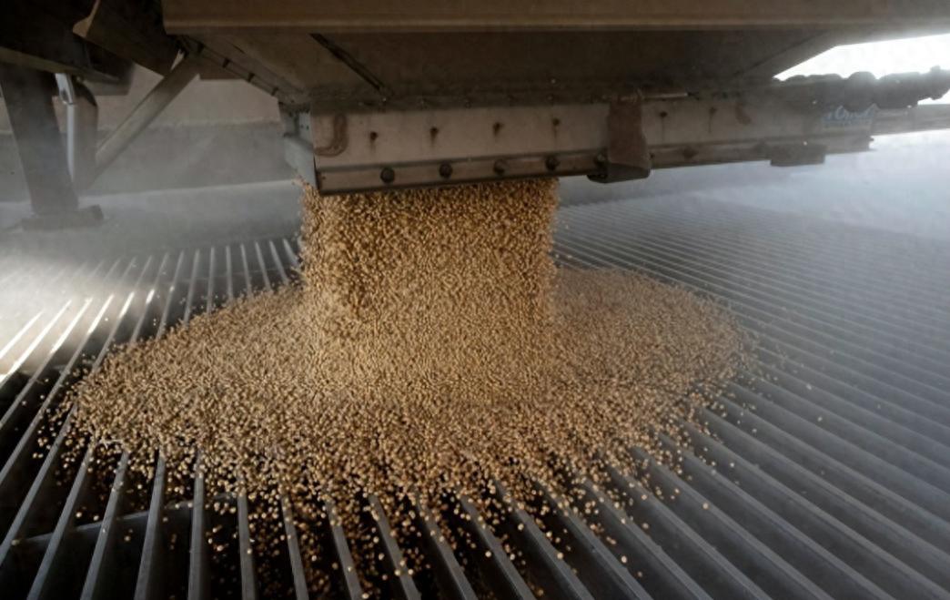 巴西大豆价格飙升，中国停购引发市场震动