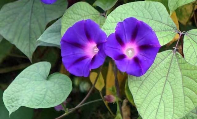 女性最渴望的：不是浪漫吻抱，而是男人细节中的‘偏爱’