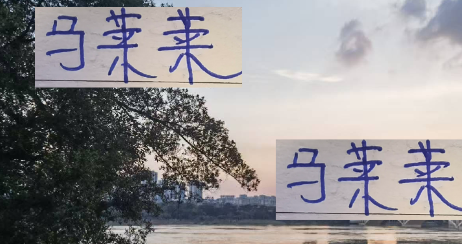 马莱莱伤情成疑 本周末申花对阵大连英博看点解析