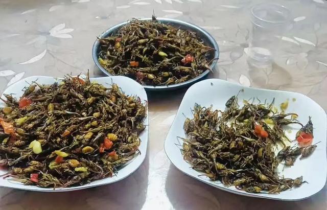 广西多人食用龙眼鸡后休克！高蛋白美食暗藏致命风险