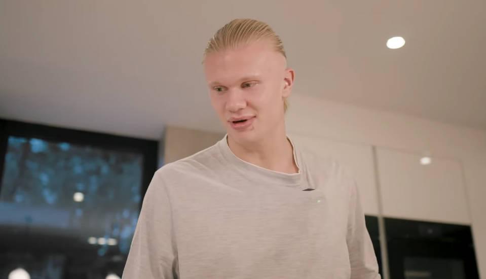 哈兰德农场采购