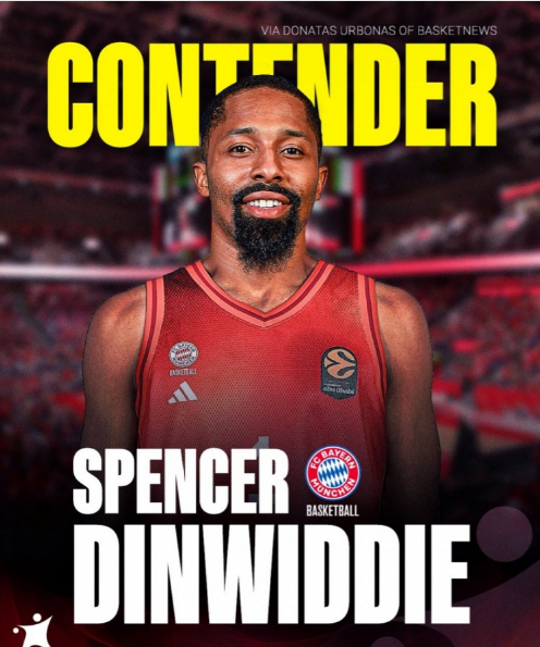 丁威迪篮网时期数据统计