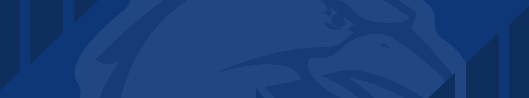 杨瀚森NBA首秀观赛活动圆满落幕，球迷热情点燃青岛