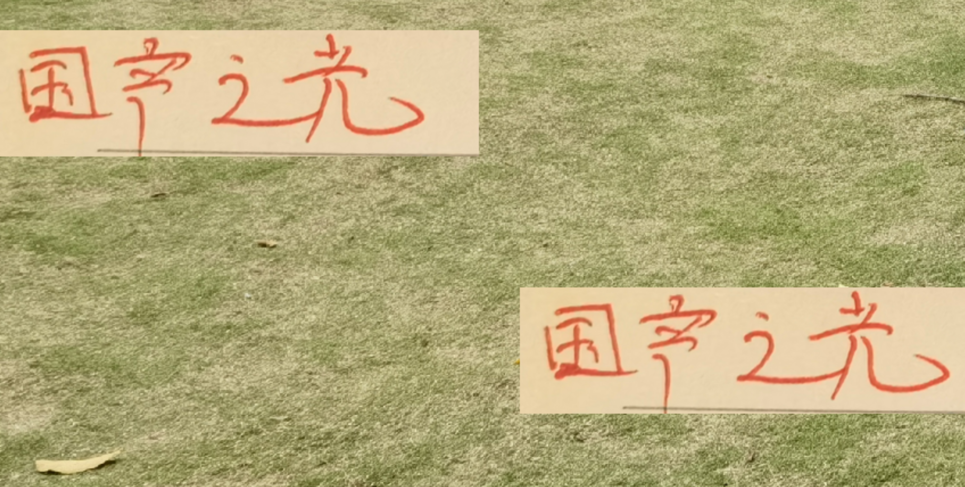 亚洲赛事大放异彩！上海申花成唯一胜者，球迷热议奖励